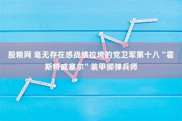 股粮网 毫无存在感战绩拉垮的党卫军第十八“霍斯特威塞尔”装甲掷弹兵师