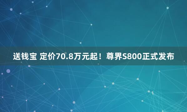 送钱宝 定价70.8万元起！尊界S800正式发布
