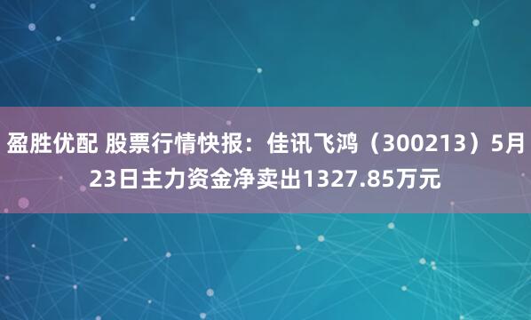 盈胜优配 股票行情快报：佳讯飞鸿（300213）5月23日主力资金净卖出1327.85万元