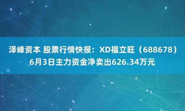 泽峰资本 股票行情快报：XD福立旺（688678）6月3日主力资金净卖出626.34万元