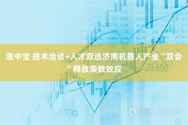 涨中宝 技术洽谈+人才双选济南机器人产业“双会”释放乘数效应