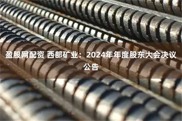 盈股网配资 西部矿业：2024年年度股东大会决议公告