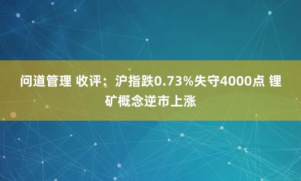 问道管理 收评:沪指跌0.73%失守4000点 锂矿概念逆市上涨