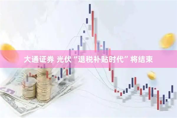 大通证券 光伏“退税补贴时代”将结束
