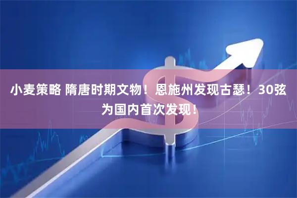 小麦策略 隋唐时期文物！恩施州发现古瑟！30弦为国内首次发现！