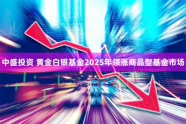 中盛投资 黄金白银基金2025年领涨商品型基金市场