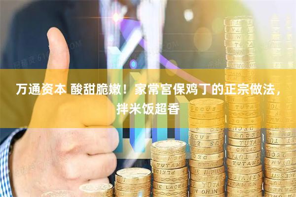 万通资本 酸甜脆嫩！家常宫保鸡丁的正宗做法，拌米饭超香