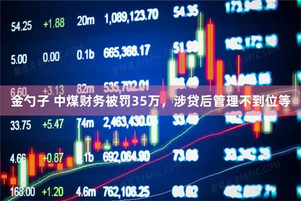 金勺子 中煤财务被罚35万，涉贷后管理不到位等