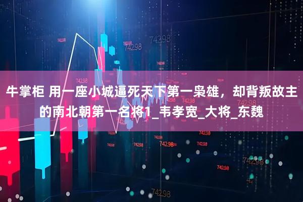 牛掌柜 用一座小城逼死天下第一枭雄，却背叛故主的南北朝第一名将1_韦孝宽_大将_东魏